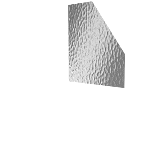 minister